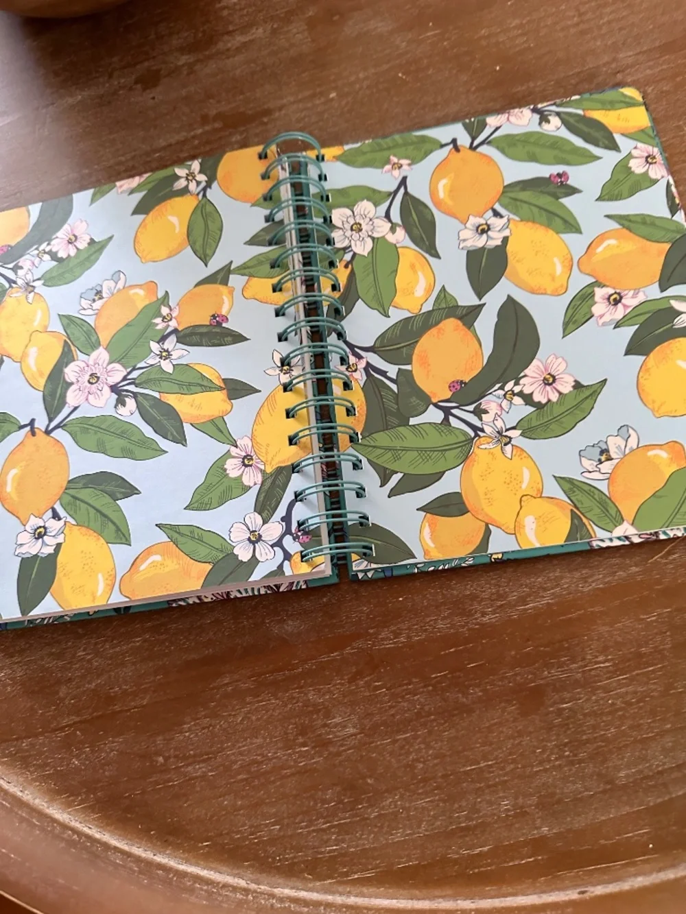 VERA BRADLEY Peacock Garden Undated Large Spiral Planner